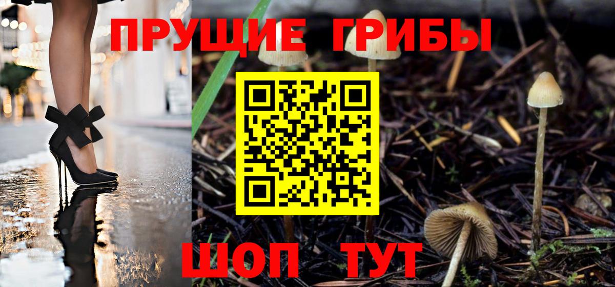 наркота  Вход с VPN  Миасс  Псилоцибиновые грибы Cubensis 