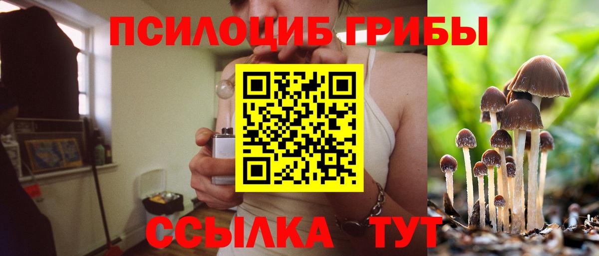 Псилоцибиновые грибы Psilocybe Миасс
