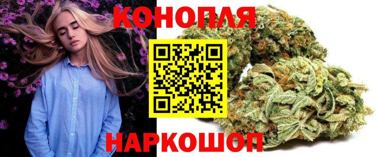 Канабис сатива Миасс